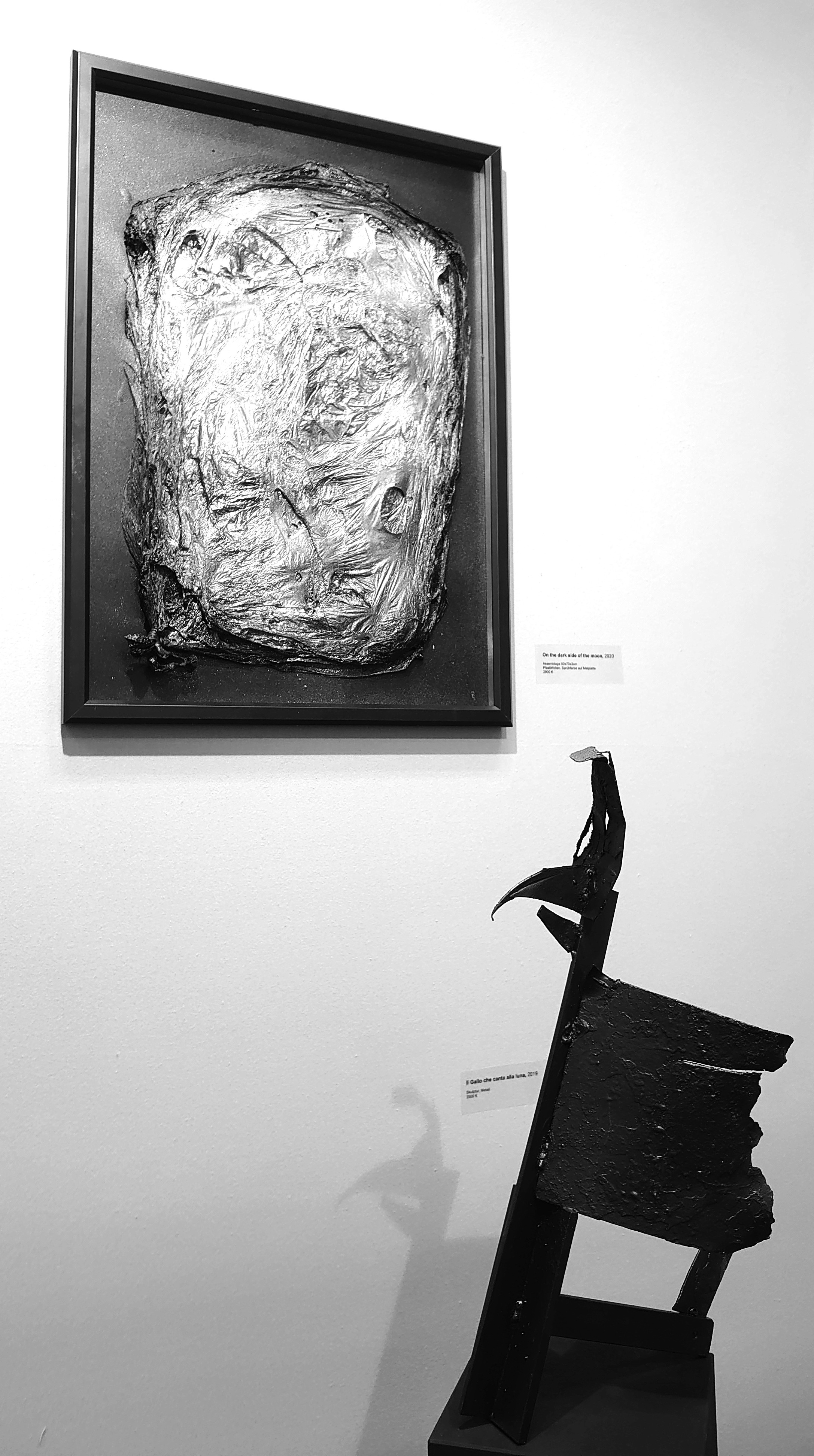 Il gallo che canta alla luna