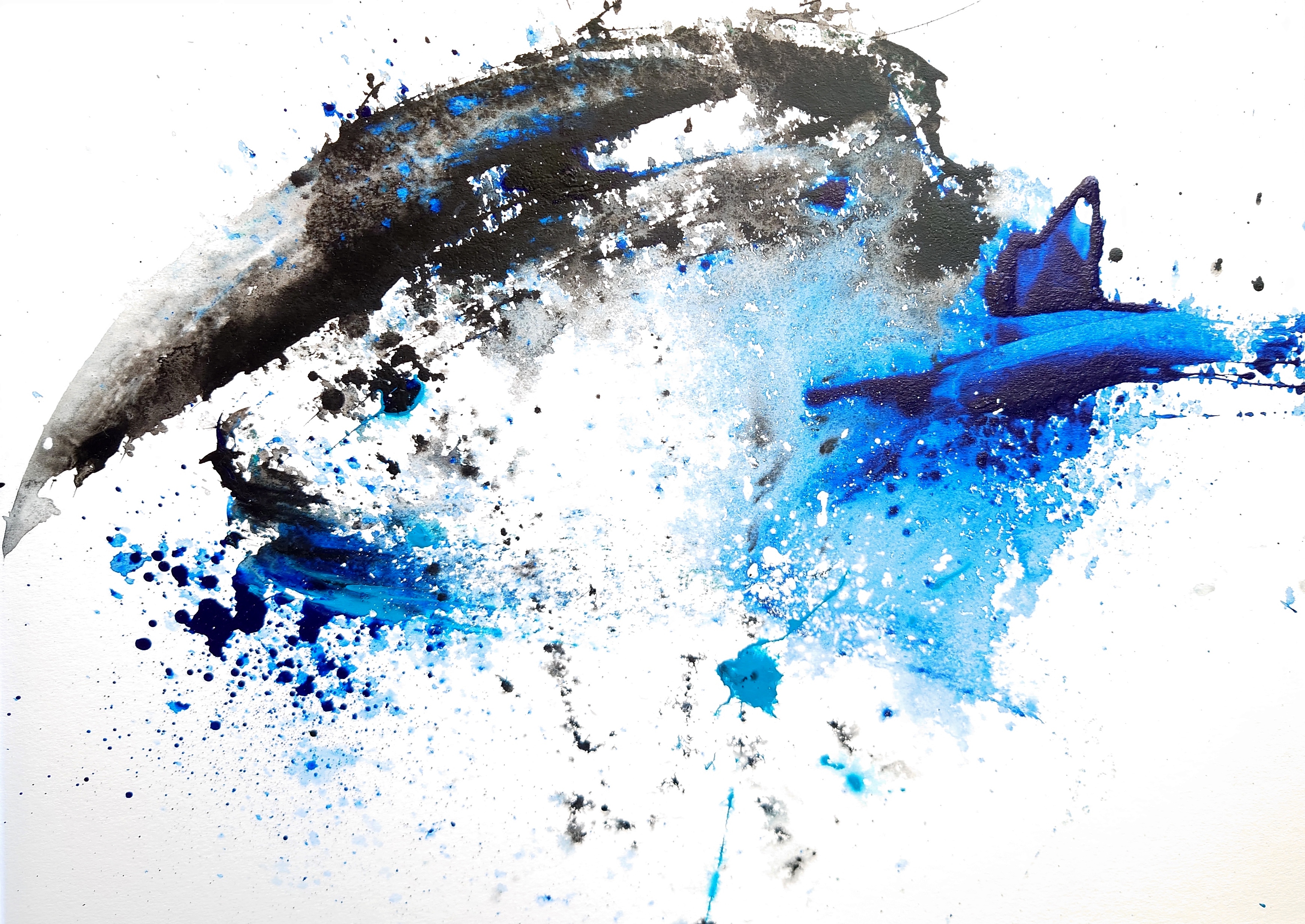 The Dance of the Whales